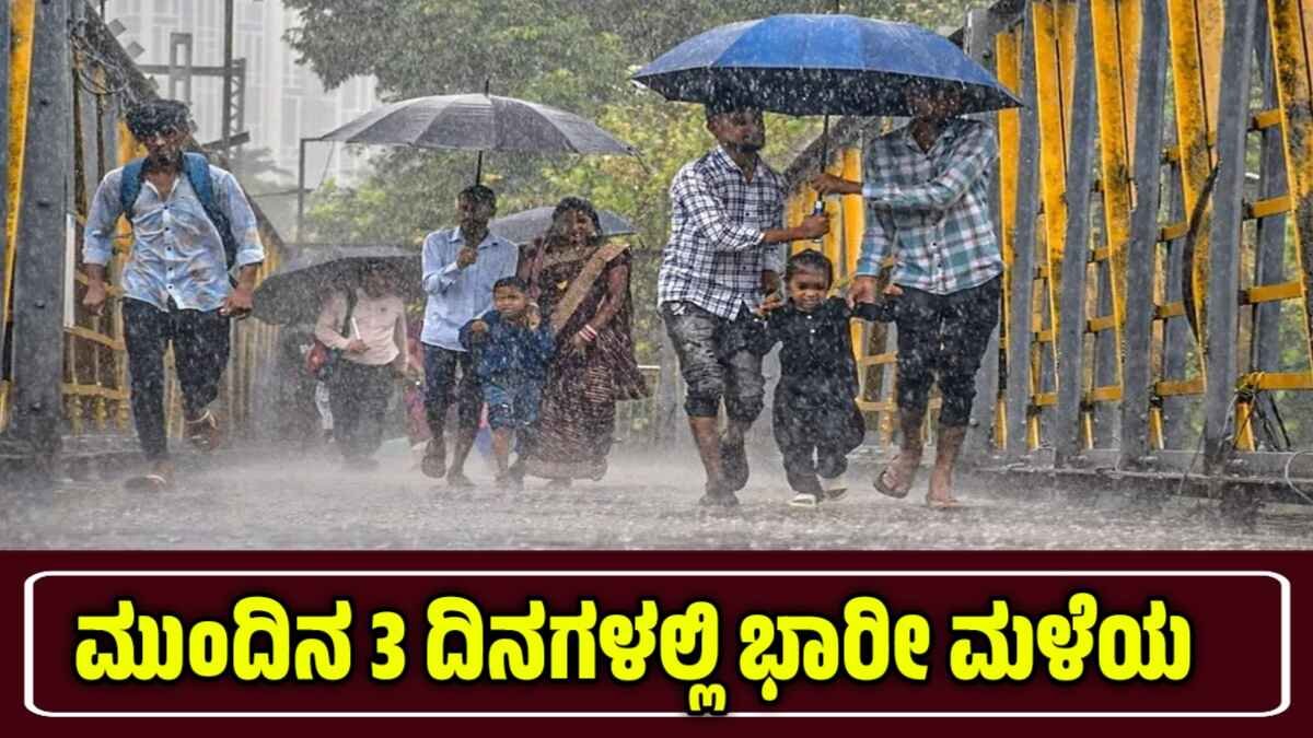 IMD Report